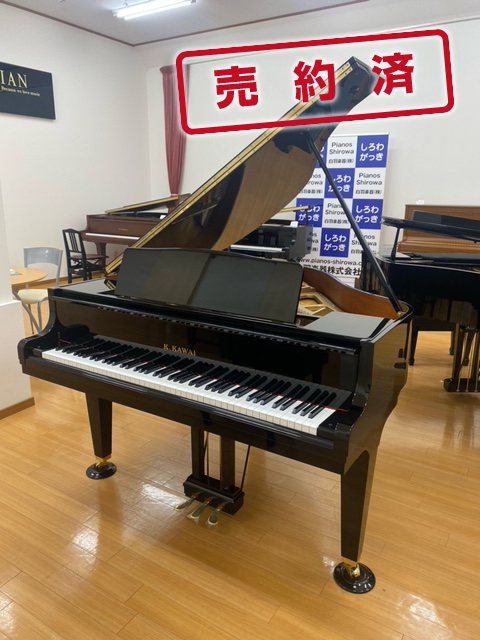 KAWAI GM10