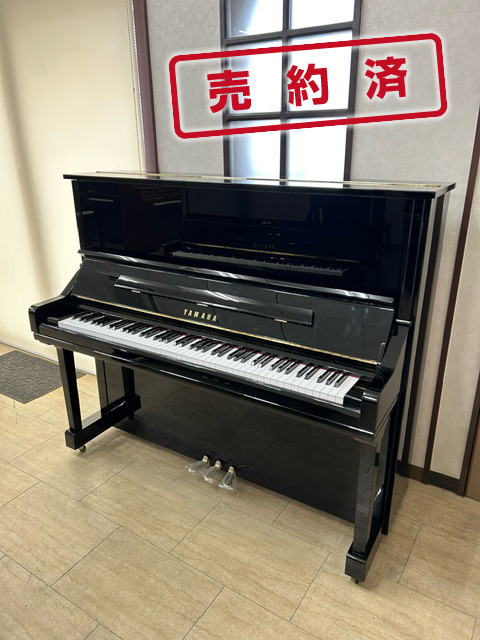 YAMAHA YU33