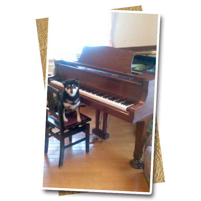 ［浜松市在住のお客様　ヤマハG3E 木目 （グランドピアノ）］