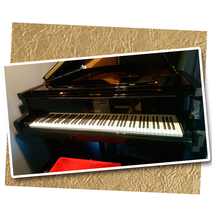 「初めて弾いたペトロフが気に入ってしまい」