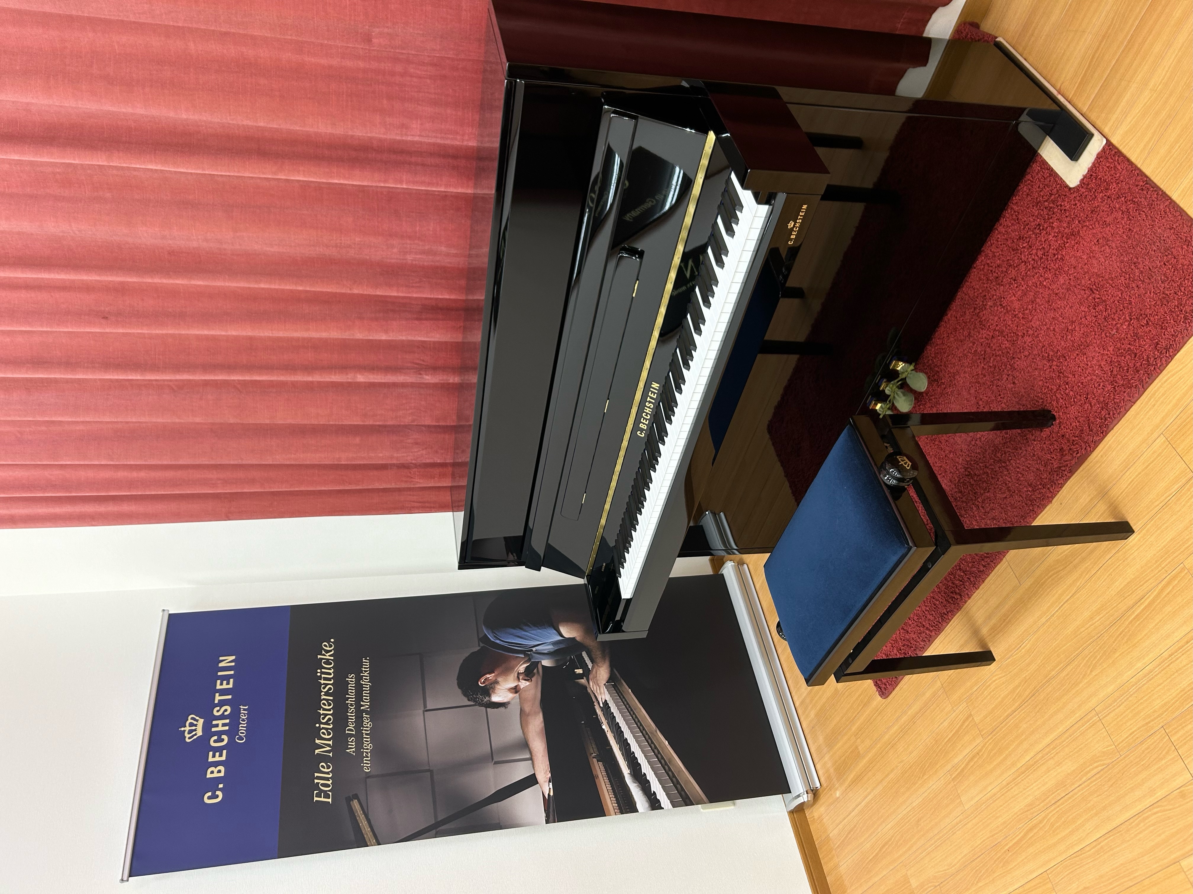 BECHSTEIN A.2